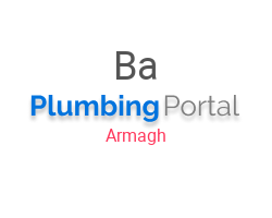 Bawn Plumbing & Heating Services