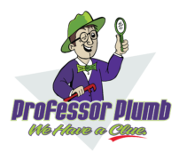 Professor Plumb, LLC