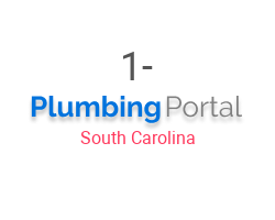 1-800-Plumbing Now