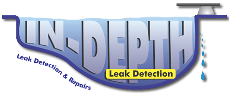 In-Depth Leak Detection in Sacramento