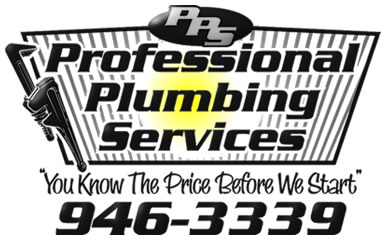 Professional Plumbing Services